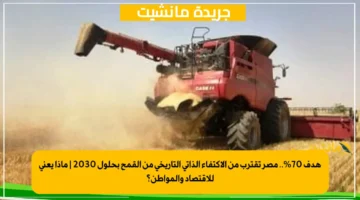 هدف 70.. مصر تقترب من الاكتفاء الذاتي التاريخي من القمح بحلول 2030 ماذا يعني للاقتصاد والمواطن؟ 1